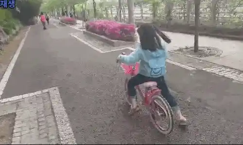 안전하게 자전거 타는 법